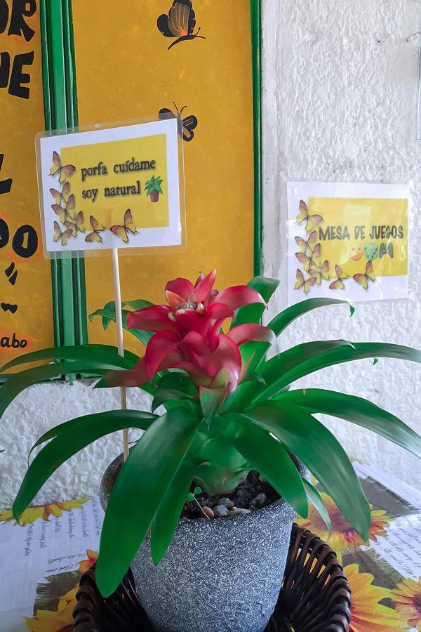 Hostal Gabo บูการามังกา ภายนอก รูปภาพ